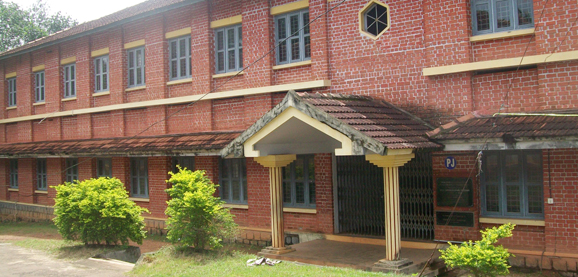 About the Department